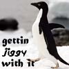 Pinguine avatare