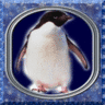 Pinguine avatare