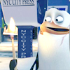 Pinguine avatare