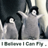 Pinguine avatare