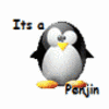 Pinguine avatare