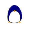 Pinguine avatare