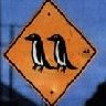 Pinguine avatare