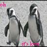 Pinguine avatare