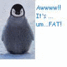 Pinguine avatare