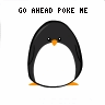Pinguine avatare