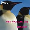 Pinguine