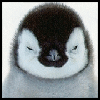 Pinguine