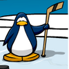 Pinguine avatare