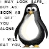Pinguine avatare