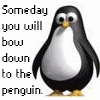 Pinguine avatare