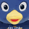 Pinguine avatare