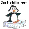 Pinguine avatare