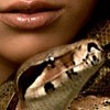 Schlangen avatare