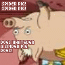 Schweine avatare