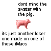 Schweine avatare