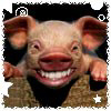 Schweine avatare