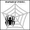 Spinnen avatare