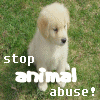 Tiere missbrauch