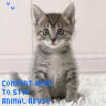 Tiere missbrauch avatare