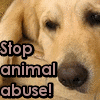 Tiere missbrauch