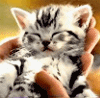 Tiere avatare