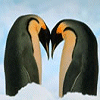 Tiere avatare