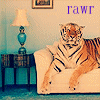 Tigers