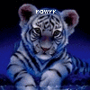 Tigers