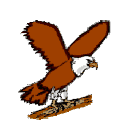 Adler bilder