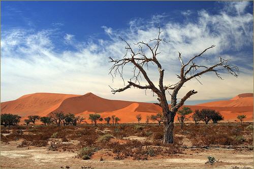 Afrika bilder