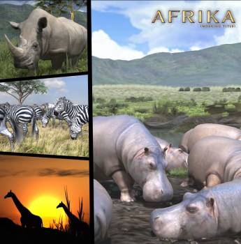 Afrika bilder