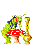 Alice im wunderland bilder