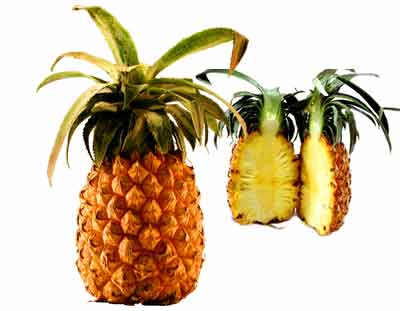 Ananas bilder