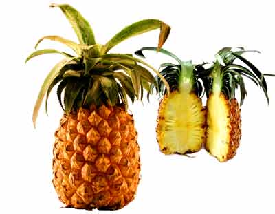 Ananas