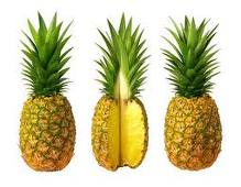 Ananas bilder