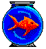 Aquarium bilder