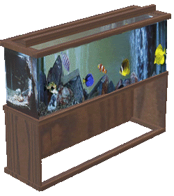 Aquarium bilder