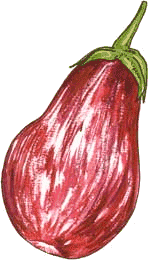 Aubergine bilder