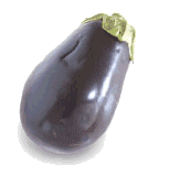 Aubergine bilder