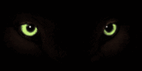 Augen bilder