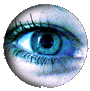 Augen bilder