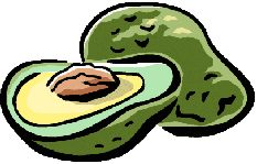 Avocado