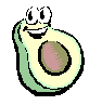 Avocado bilder