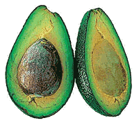 Avocado bilder