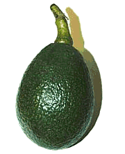 Avocado bilder