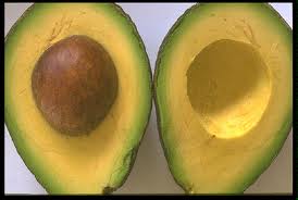 Avocado bilder