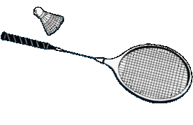 Badminton