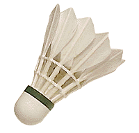 Badminton