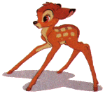 Bambi bilder